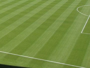 La pelouse du stade et l'arc de la surface de réparation